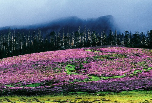 Bigu Lake