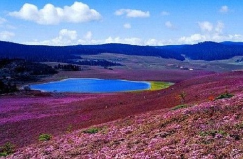 Bigu Lake