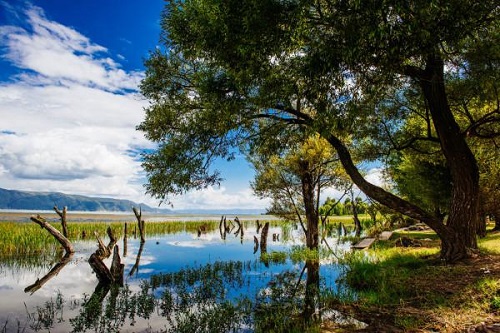 Haishe Park of Erhai Lake