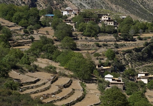 Ninong Village