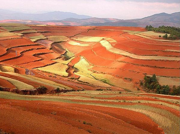 Lepuwa Village of Dongchuan Red Land,Kunming