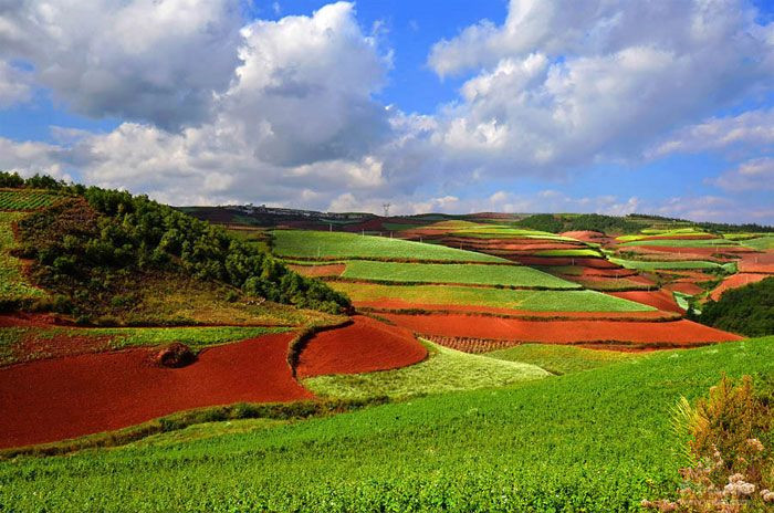 Wafang Liangzi Village of Dongchuan Red Land,Kunming