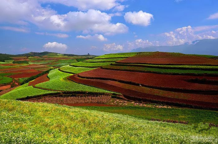 Wafang Liangzi Village of Dongchuan Red Land,Kunming