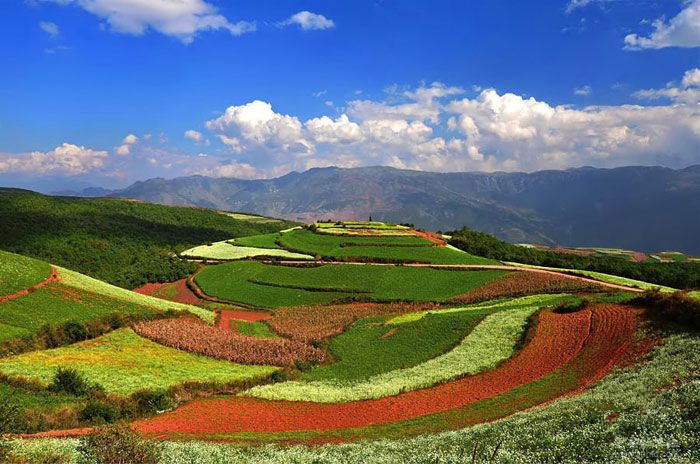 Wafang Liangzi Village of Dongchuan Red Land,Kunming