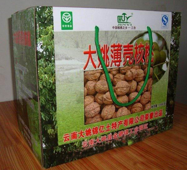 Dayao Preserved Fruit