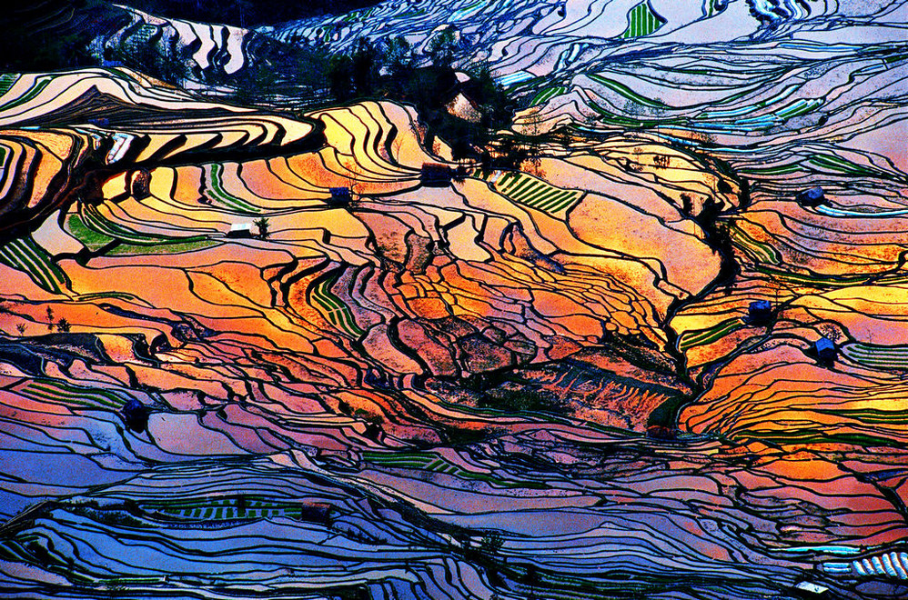 yuanyang-rice-terraces10.jpeg