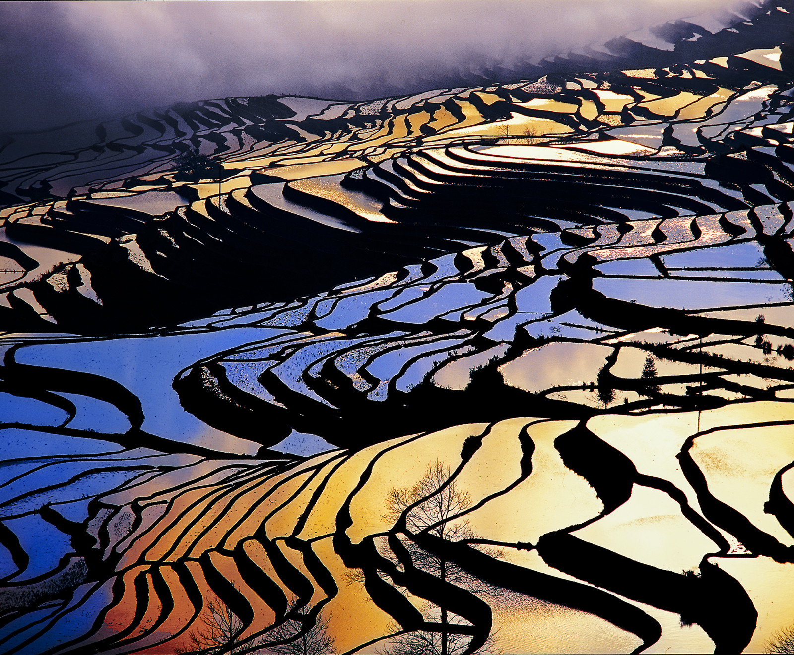 Honghe Hani Rice Terraces